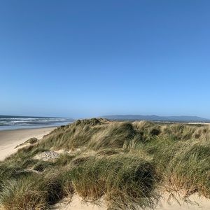 Meet your Posher, Tessa